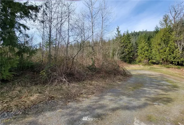 Granite Falls, WA 98252,19607 131st PL NE