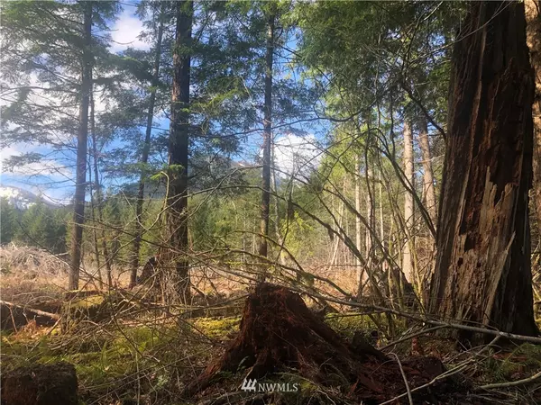 Packwood, WA 98361,0 Lot 2 Cannon RD