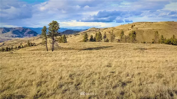 54 Wolf Holler RD, Waterville, WA 98858