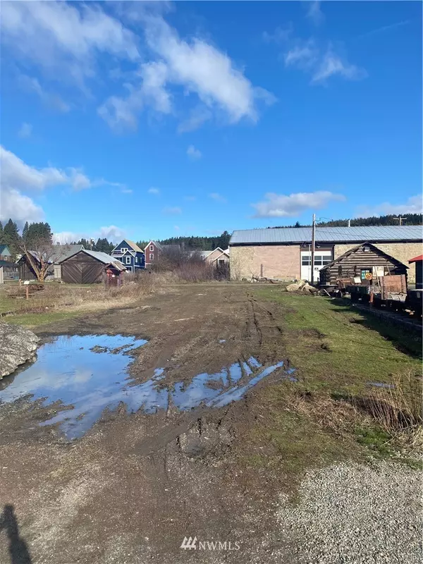 207 W Pennsylvania, Roslyn, WA 98941