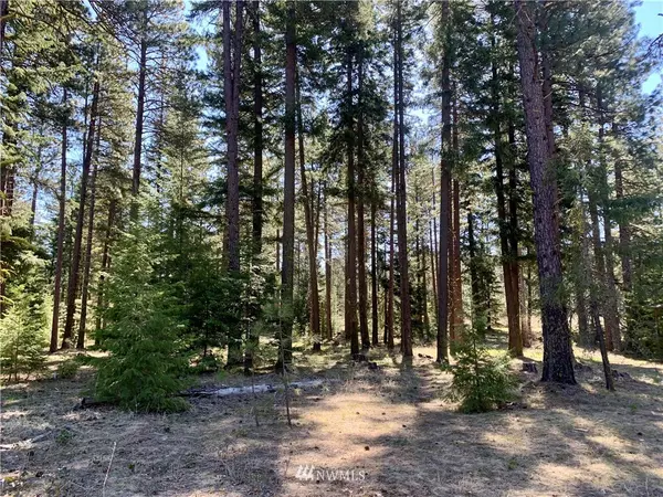 Cle Elum, WA 98922,871 Larkspur LOOP