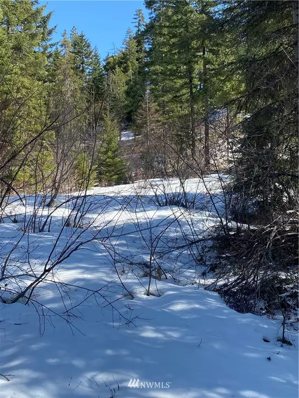 6 Newport Creek, Ronald, WA 98940