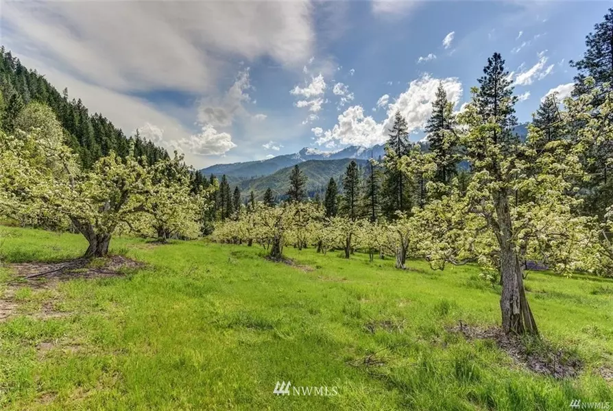 64 XX SR 97 Blewett Pass HWY, Peshastin, WA 98847