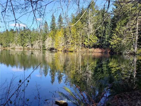 20 ac W Lake Ludvick, Seabeck, WA 98380