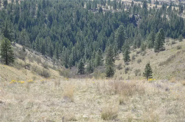 Coulee Dam, WA 99116,0 Off Buffalo Lake RD