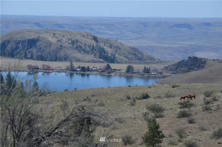 0 Off Buffalo Lake RD, Coulee Dam, WA 99116