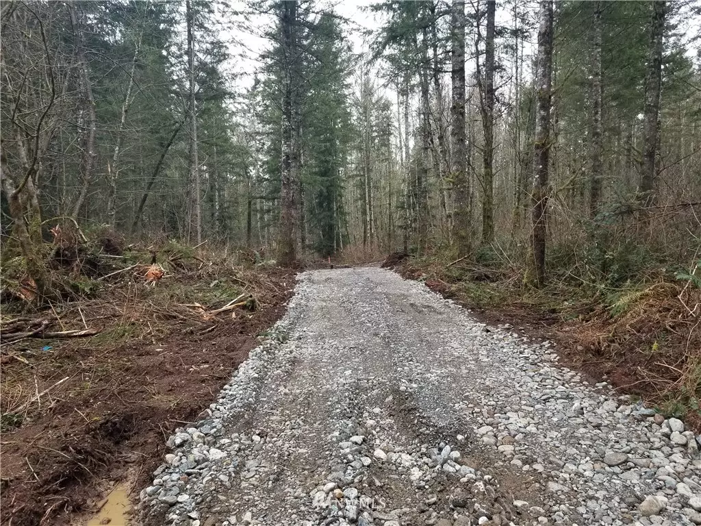 Enumclaw, WA 98022,367 XX 293rd  PL  Lot XX SE