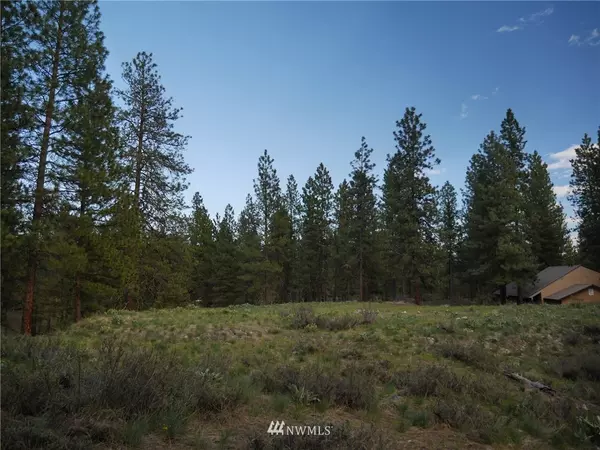 23 Chokecherry Rd, Winthrop, WA 98862