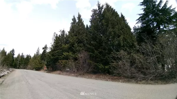 Snoqualmie Pass, WA 98068,0 Keechleus DR