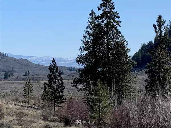 665 Seven Lakes Rd, Riverside, WA 98849