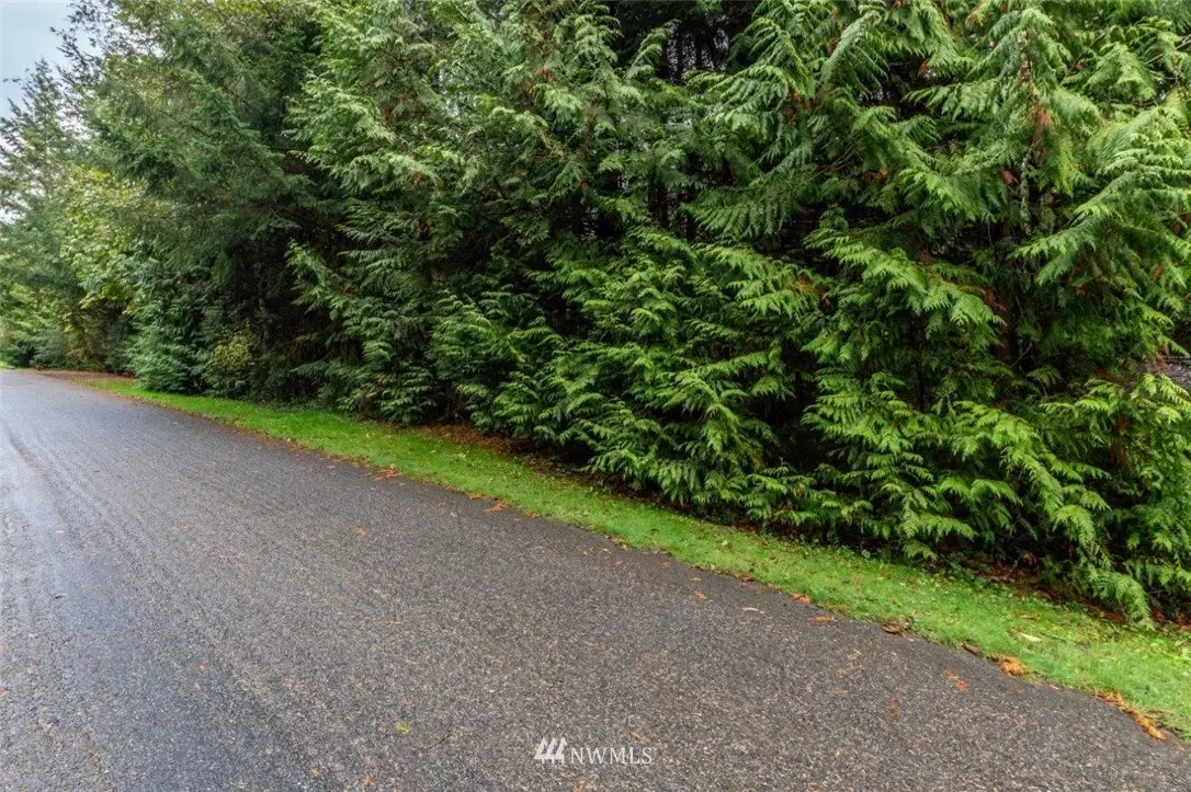 Port Ludlow, WA 98365,0 Lot 87 Goliah LN