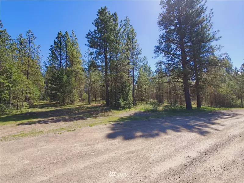 0 xxx Buena View Road, Cle Elum, WA 98922