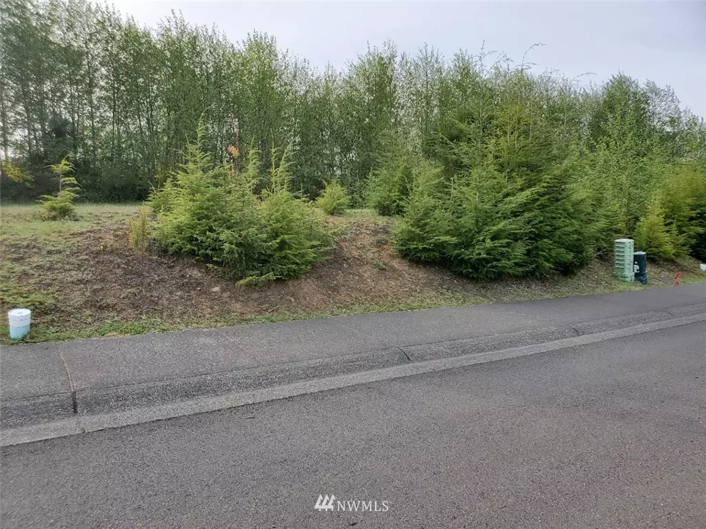 Aberdeen, WA 98520,1173 Gray Pointe