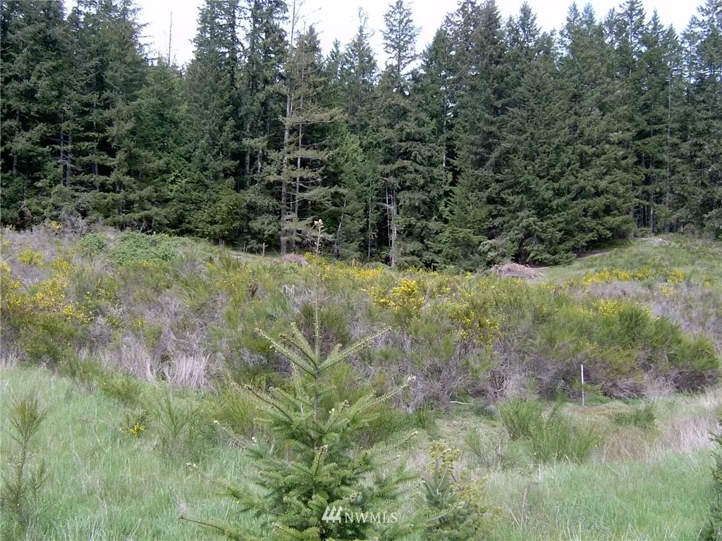 Langley, WA 98260,0 Coles RD