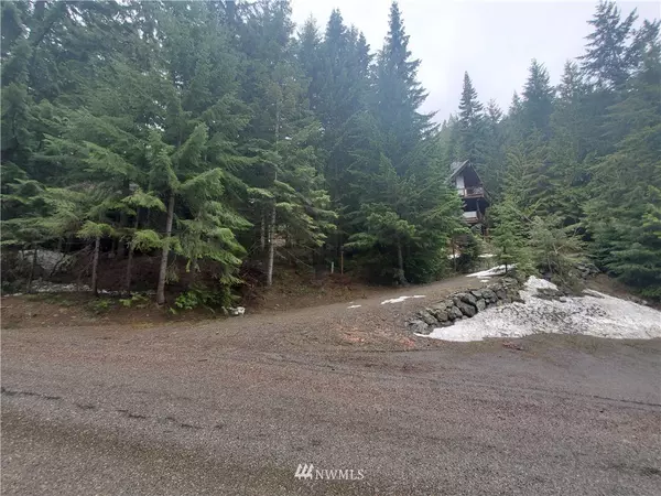 0 Lot 93 Via Kachess RD, Easton, WA 98925