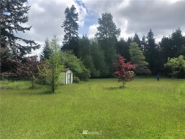 Elma, WA 98541,217 Satsop Riviera LOOP