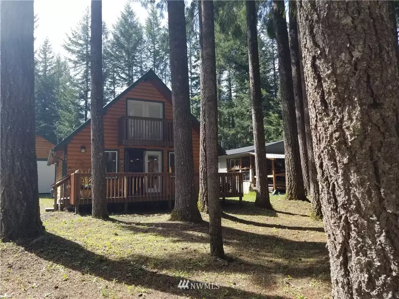 109 Tatoosh TRL, Packwood, WA 98361