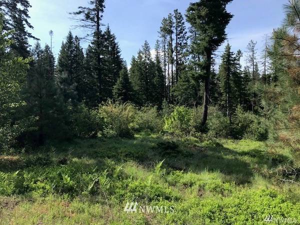 5 A Breckenridge DR, Ronald, WA 98940