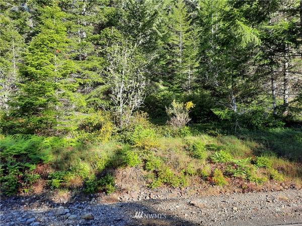 1 NE Belfair Tahuya RD, Tahuya, WA 98588