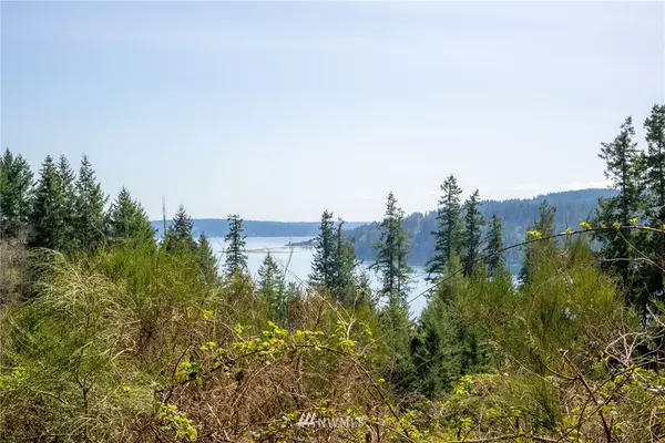 Port Ludlow, WA 98365,0 Tract C Teal Lake RD