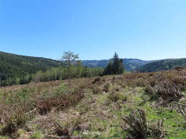 Kelso, WA 98626,0 Lot 7 Stewart DR