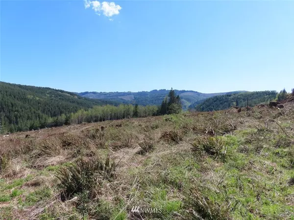 Kelso, WA 98626,0 Lot 7 Stewart DR