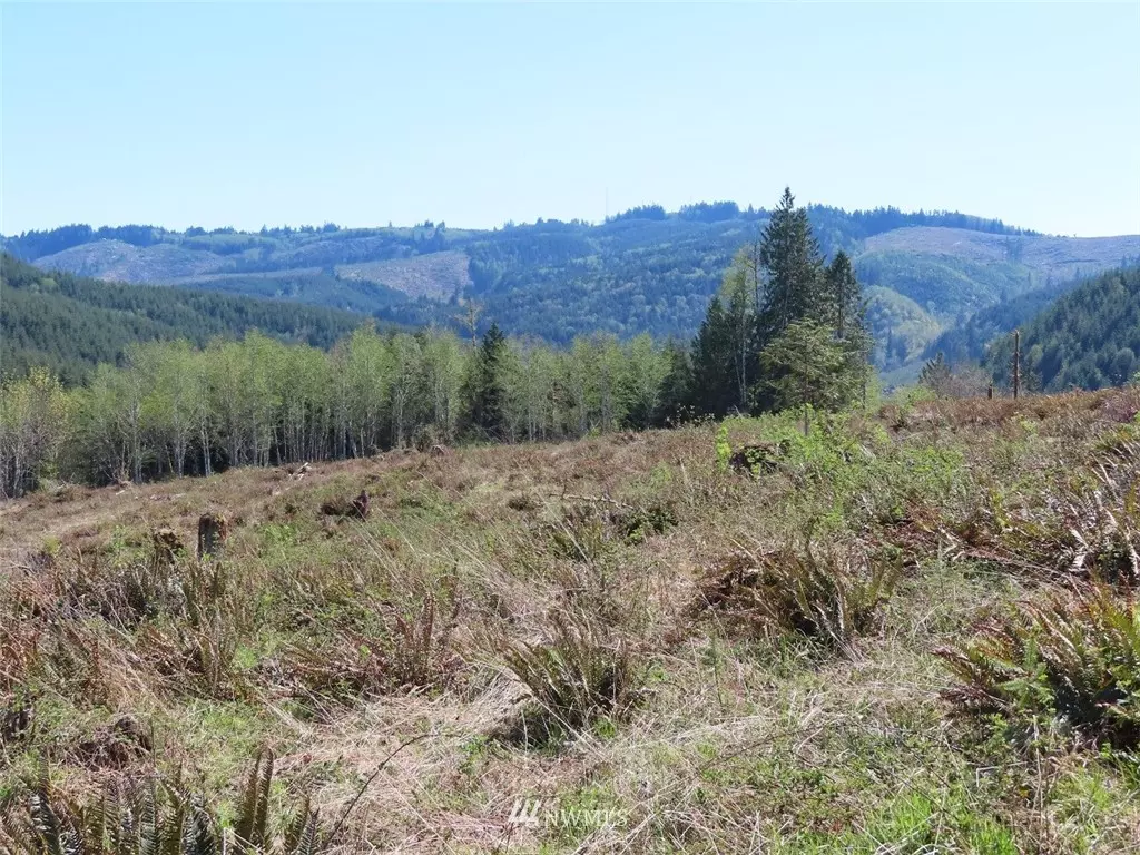 Kelso, WA 98626,0 Lot 7 Stewart DR