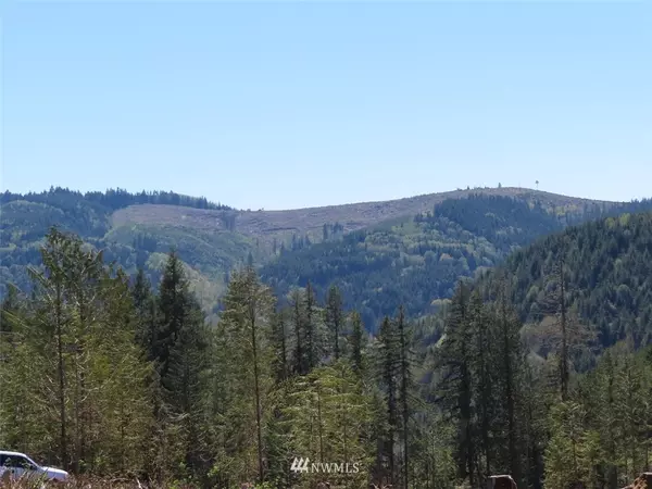 Kelso, WA 98626,0 Lot  11 Stewart DR