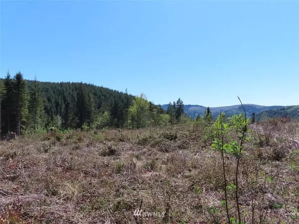 Kelso, WA 98626,0 Lot  11 Stewart DR