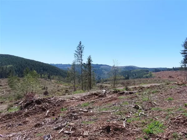 Kelso, WA 98626,0 Lot  14 Stewart Spur