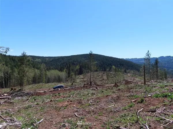 Kelso, WA 98626,0 Lot  14 Stewart Spur