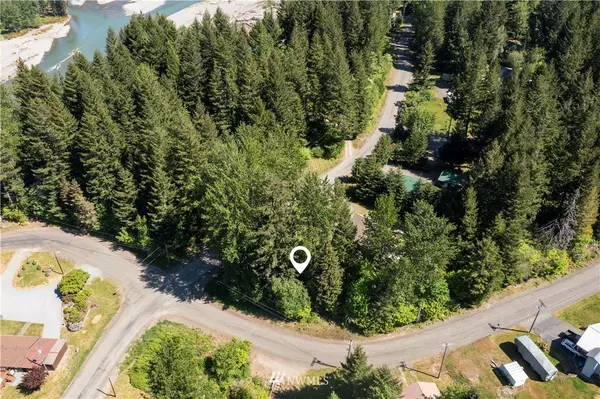 Packwood, WA 98361,0 Alpine DR