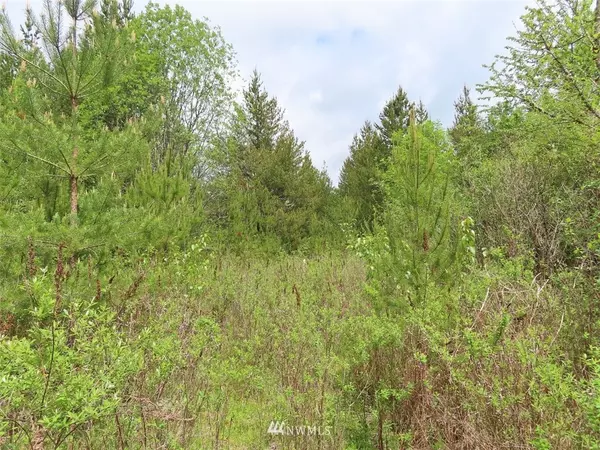 500 Tucker RD, Toledo, WA 98591