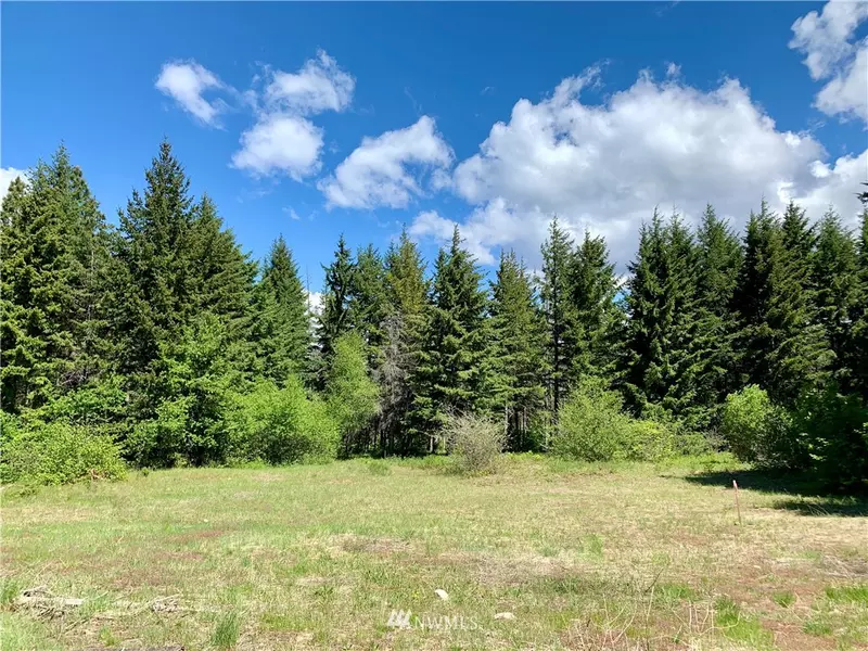 321 Goat Creek LN, Cle Elum, WA 98922