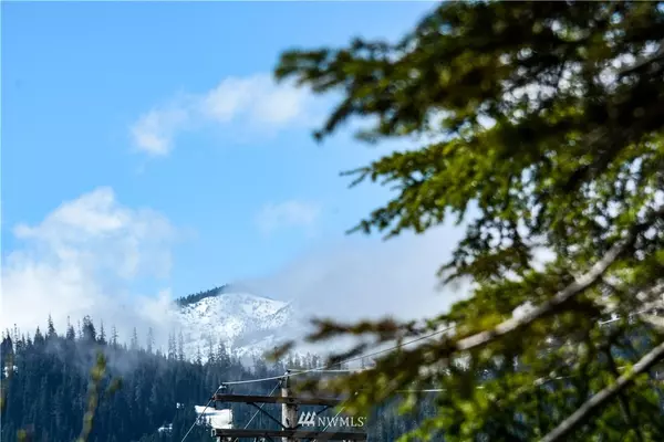 Snoqualmie Pass, WA 98068,17 XX State Route 906