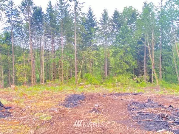 Centralia, WA 98531,0 Lot 2 Ramsaur RD