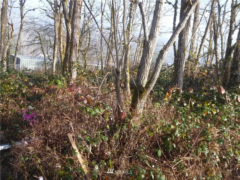 0 concrete road, Concrete, WA 98237