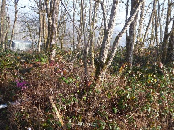 0 concrete road, Concrete, WA 98237