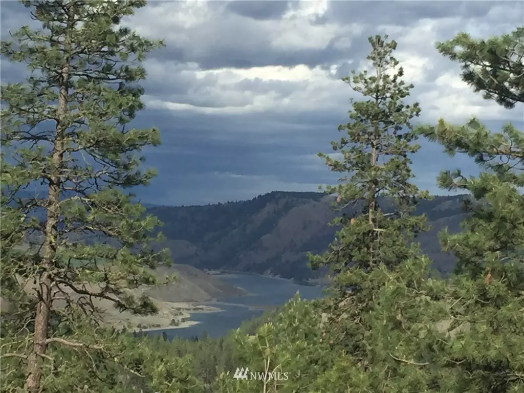 Davenport, WA 99122,36153 Western Pine DR N