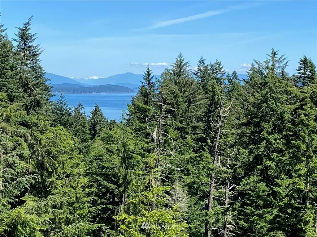 Orcas Island, WA 98245,65 Roehl's hill Rd.