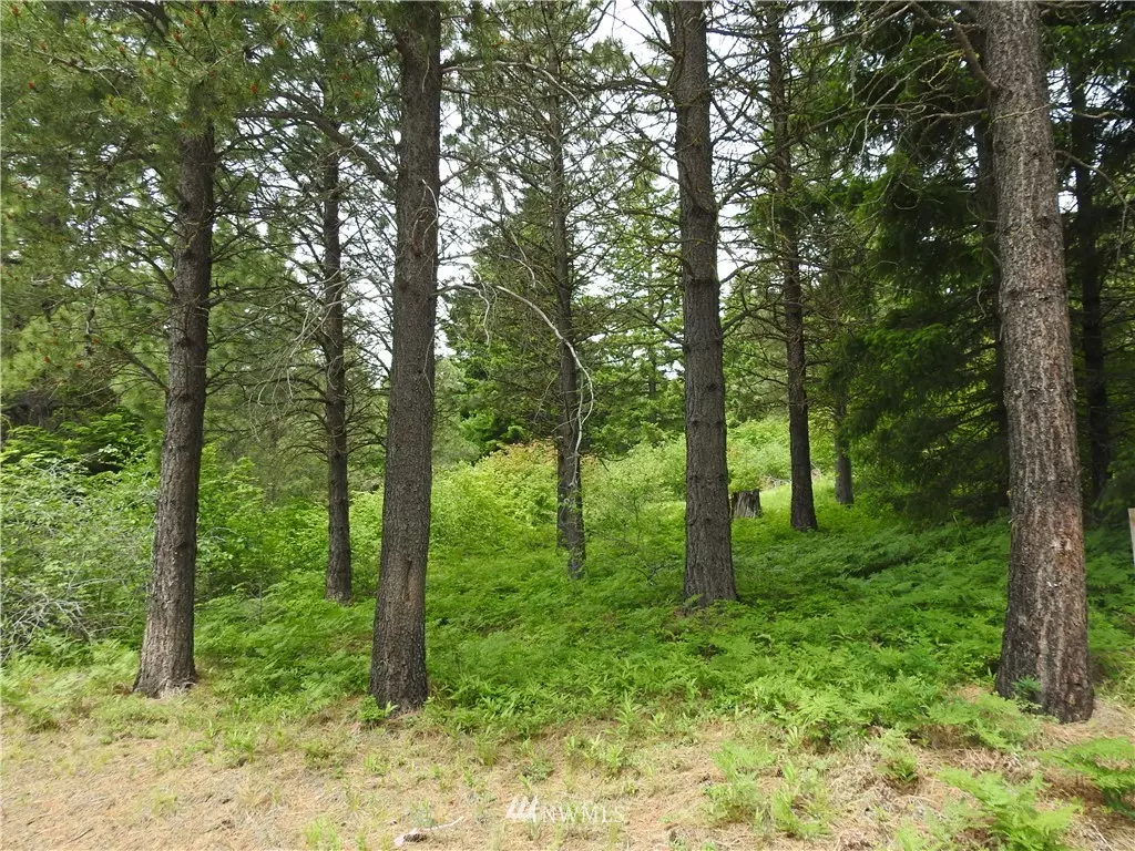 Cle Elum, WA 98922,661 Ruby King LOOP