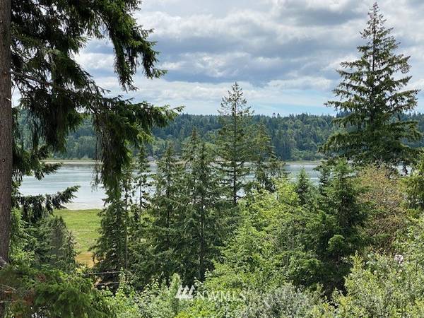 180 NE Larson Lake RD, Belfair, WA 98528