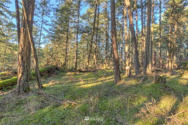 4 Spring Point Lot 4B RD, Orcas Island, WA 98243