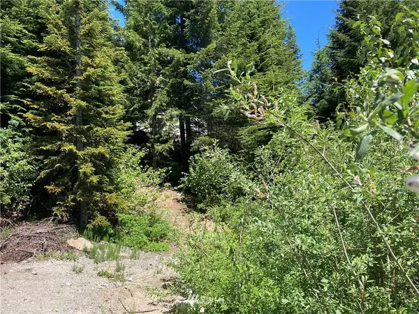 Snoqualmie Pass, WA 98068,0 Olson DR