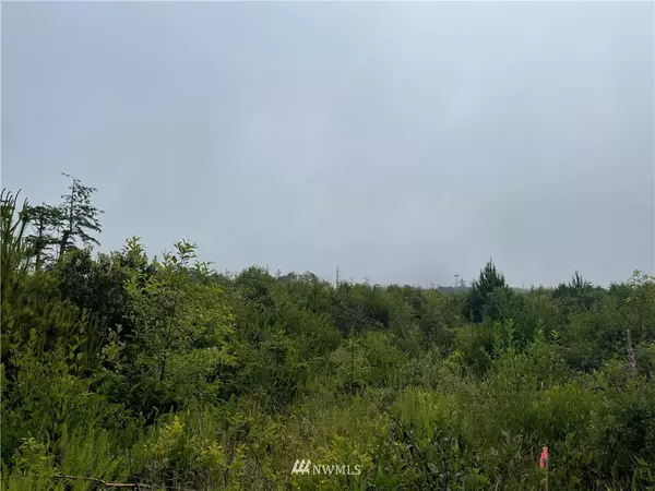 0 W 1/2 NE NE & N 1/2 NW NE, Moclips, WA 98563
