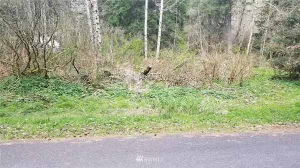 31611 554th Street Ct E, Ashford, WA 98304