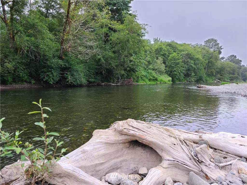 Humptulips, WA 98552,0 XX Riverview DR