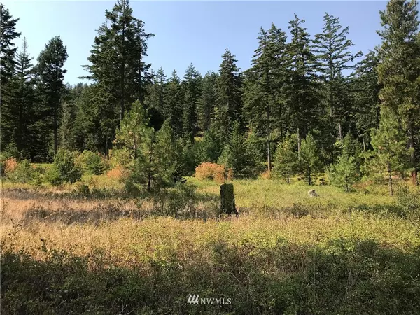 Cle Elum, WA 98922,0 Lot F Masterson RD