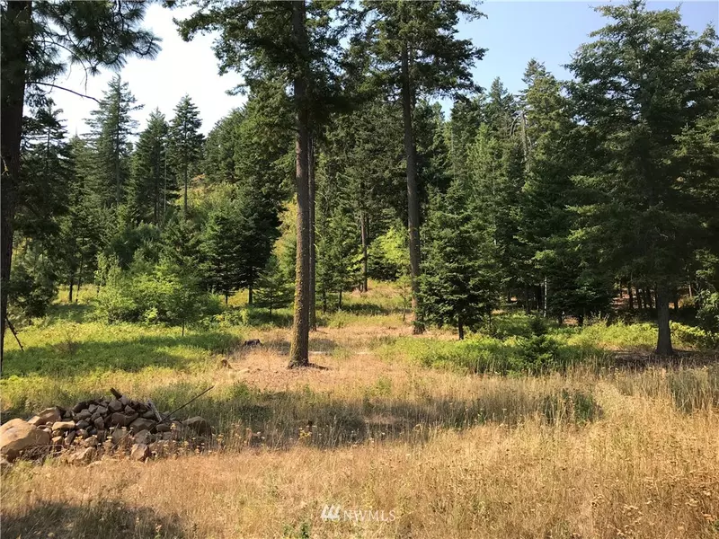 0 Lot G Masterson RD, Cle Elum, WA 98922