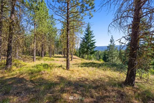 Cle Elum, WA 98922,43 Southern Star LN